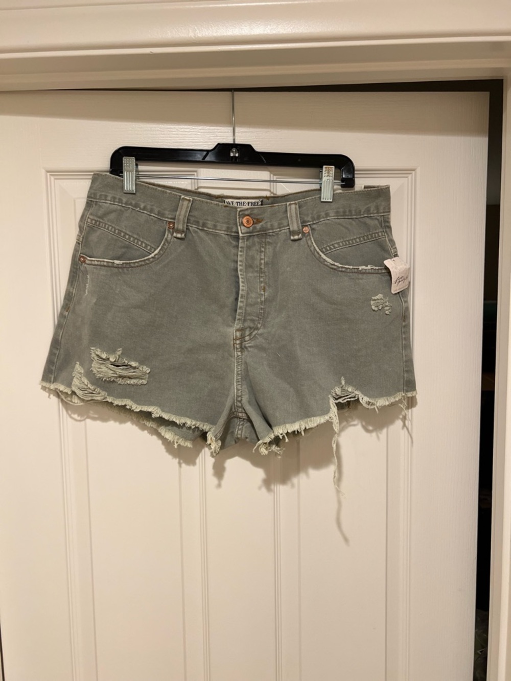 Free People Sage Denim Shorts